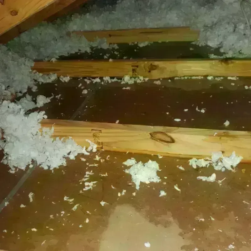 Attic Water Damage in Port Chester, NY