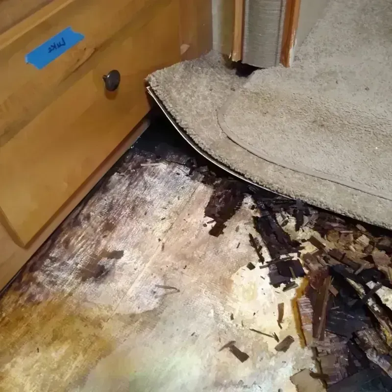 Best Wood Floor Water Damage Service in Port Chester, NY